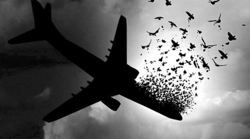 پرواز تهران-کیف